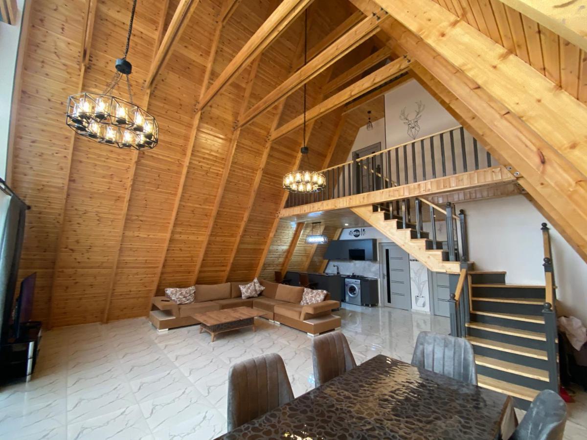 Qafqaz Family Chalet Βίλα Gabala Εξωτερικό φωτογραφία