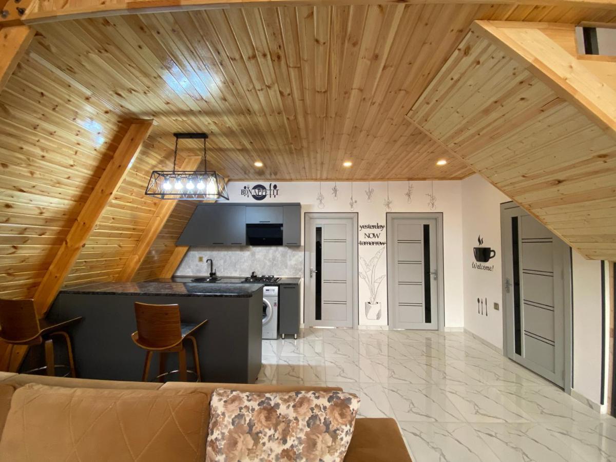 Qafqaz Family Chalet Βίλα Gabala Εξωτερικό φωτογραφία