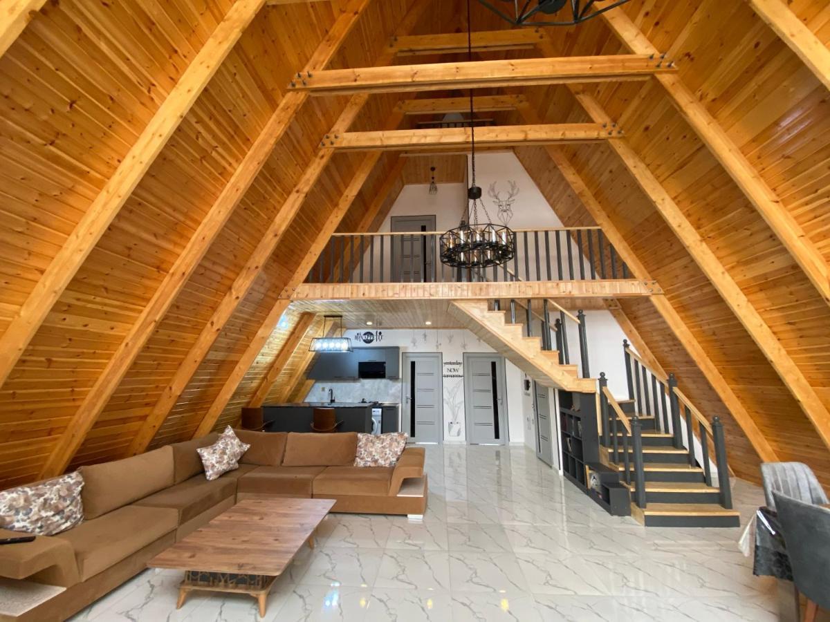 Qafqaz Family Chalet Βίλα Gabala Εξωτερικό φωτογραφία